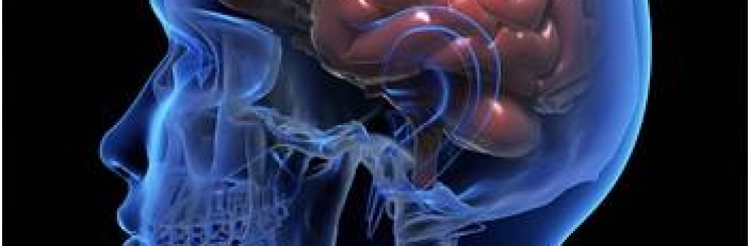 Documento sulla Prevenzione delle malattie cardio-cerebrovascolari
